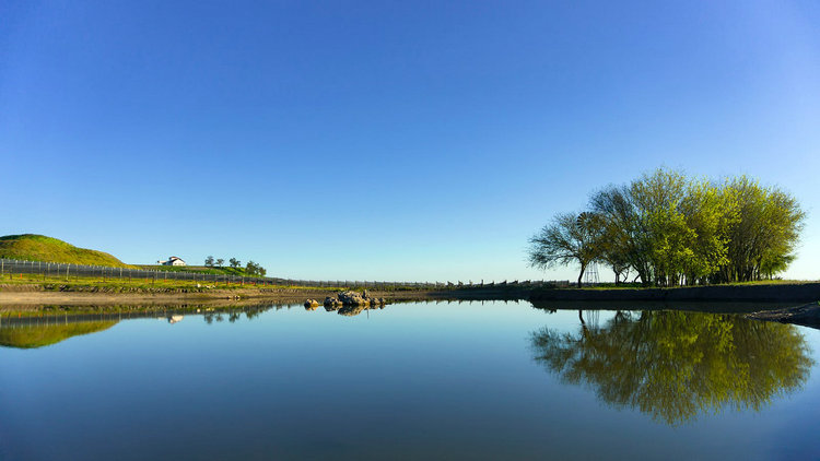 氨氮檢測(cè)