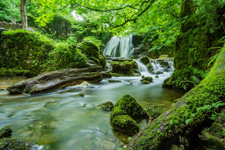 對(duì)余氯測(cè)定儀