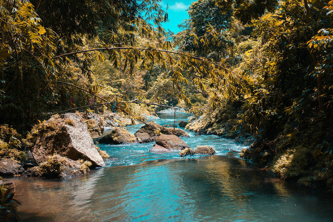 氨氮實驗