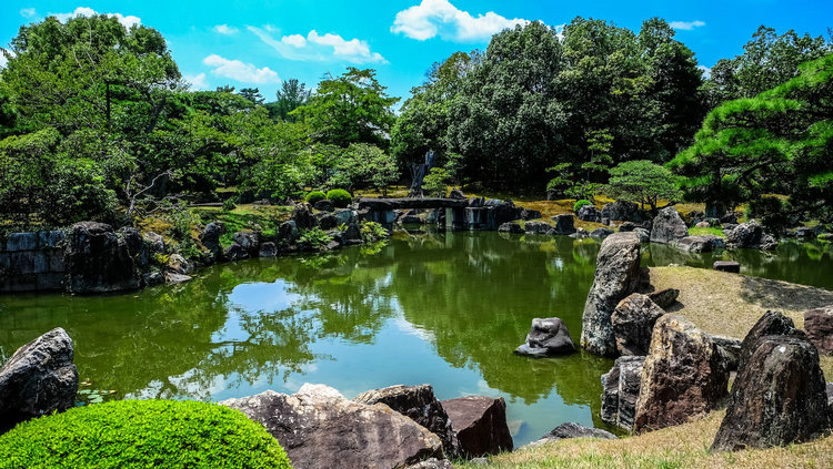 氨氮檢測儀