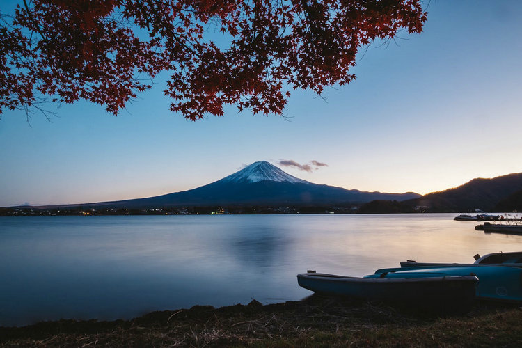 氨氮